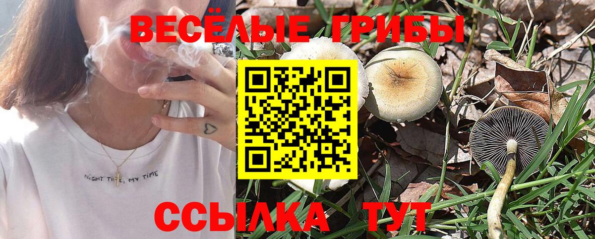 Псилоцибиновые грибы Cubensis  Вход с VPN  цены   Артёмовский 