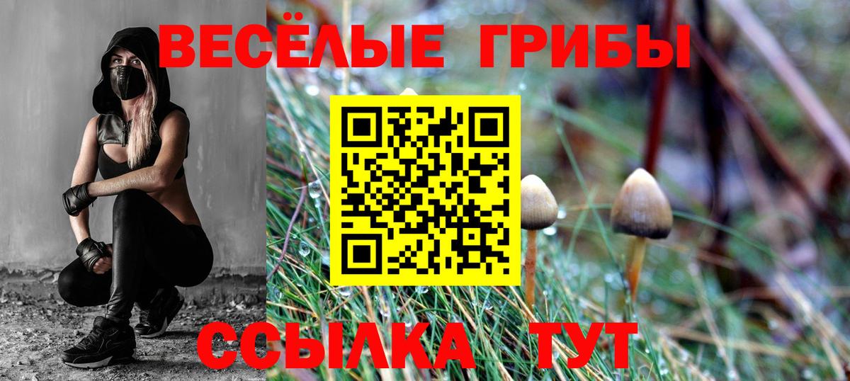 Галлюциногенные грибы мицелий Артёмовский